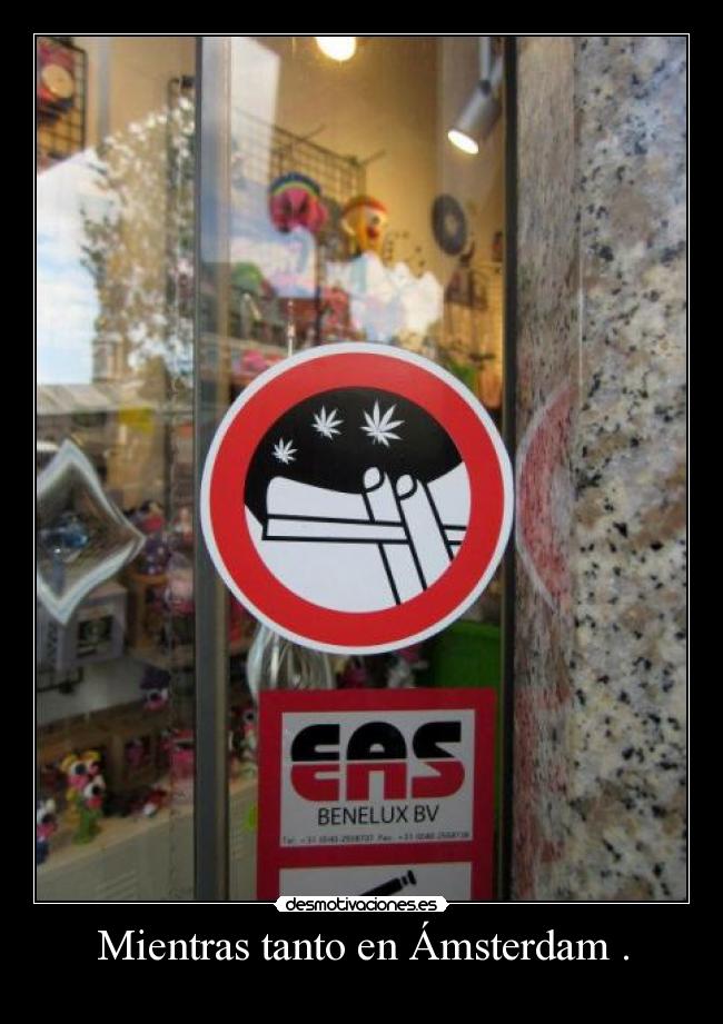 Mientras tanto en Ámsterdam . - 