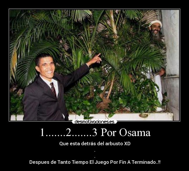 carteles osama desmotivaciones