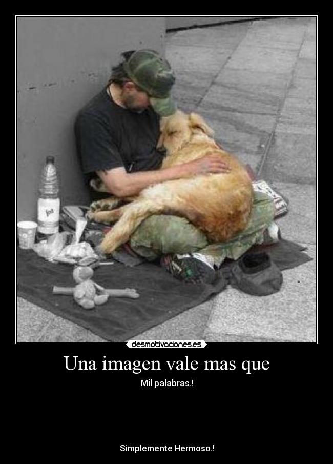 Una imagen vale mas que -