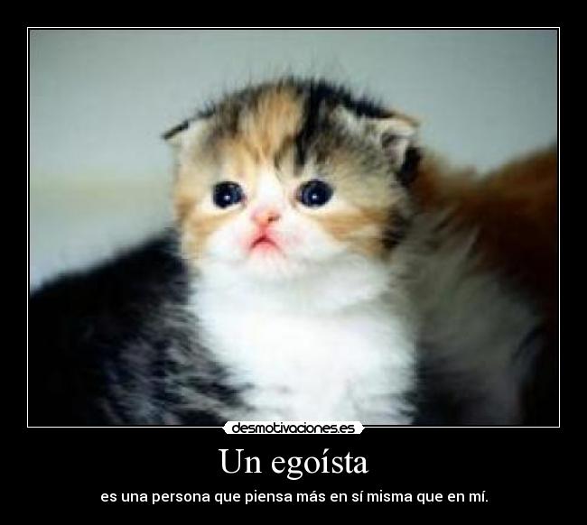 Un egoísta - es una persona que piensa más en sí misma que en mí.