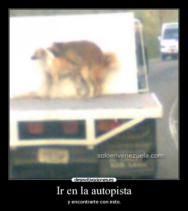 carteles ryuzakiauditore desmotivaciones