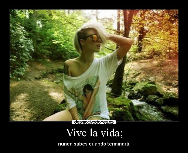 carteles vida vida desmotivaciones