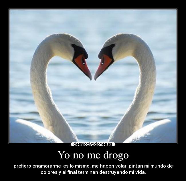 Yo no me drogo -
