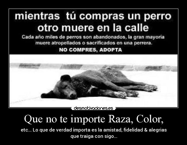 Que no te importe Raza, Color, - etc... Lo que de verdad importa es la amistad, fidelidad & alegrias que traiga con sigo...