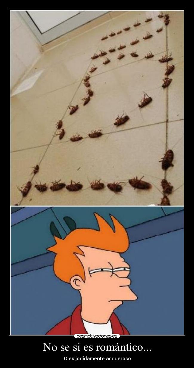 carteles cucarachas love you jodidamente asqueroso desmotivaciones
