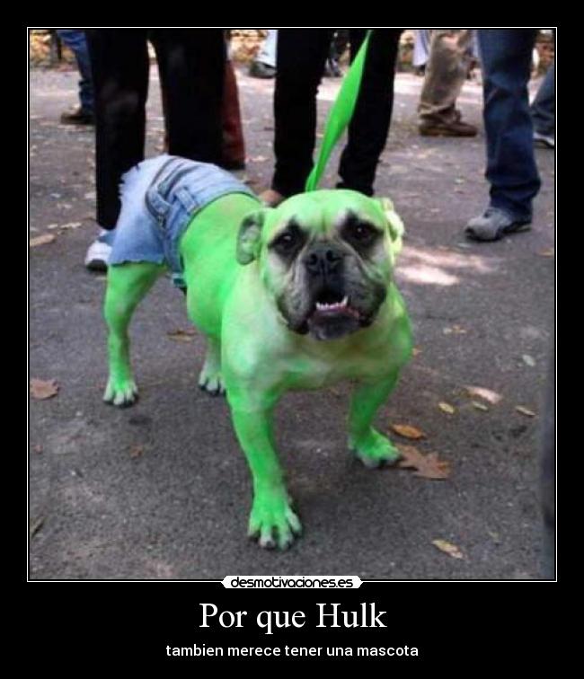 Por que Hulk - tambien merece tener una mascota