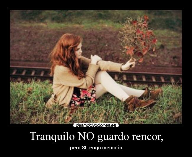 Tranquilo NO guardo rencor, -