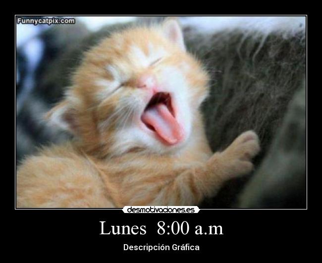 Lunes 8:00 a.m -