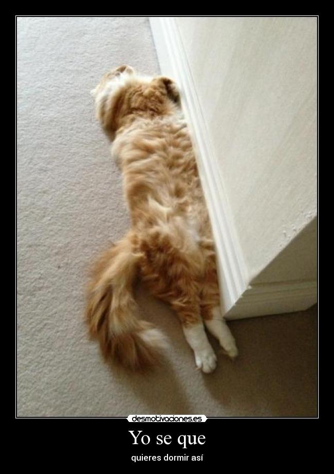 Yo se que - quieres dormir así