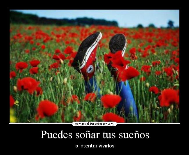 Puedes soñar tus sueños -