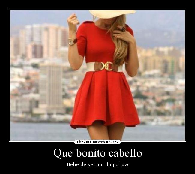 carteles dog chow desmotivaciones