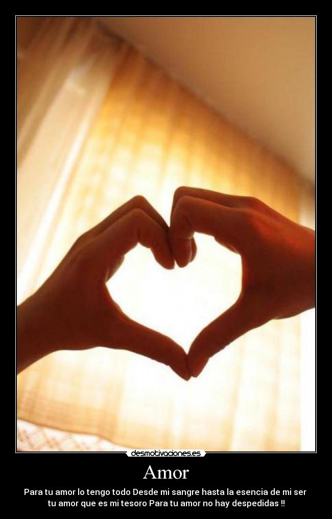 Amor - 