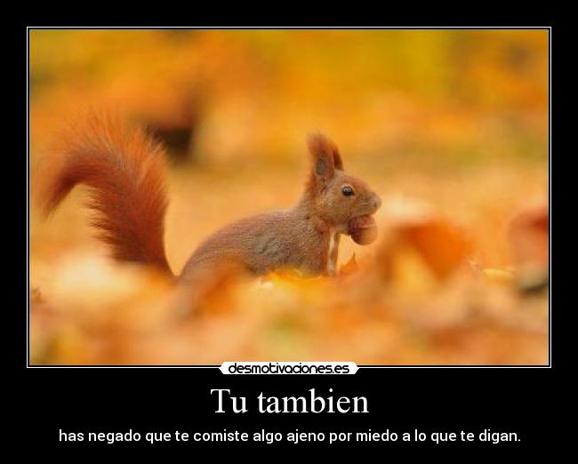 Tu tambien - has negado que te comiste algo ajeno por miedo a lo que te digan.
