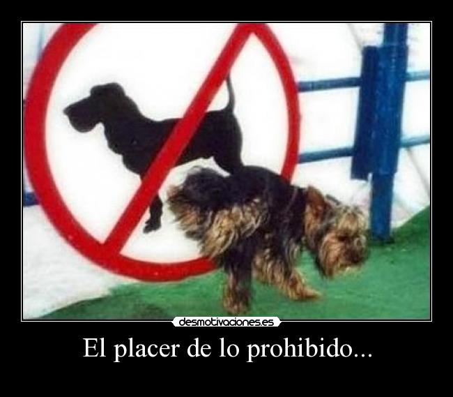 El placer de lo prohibido... -