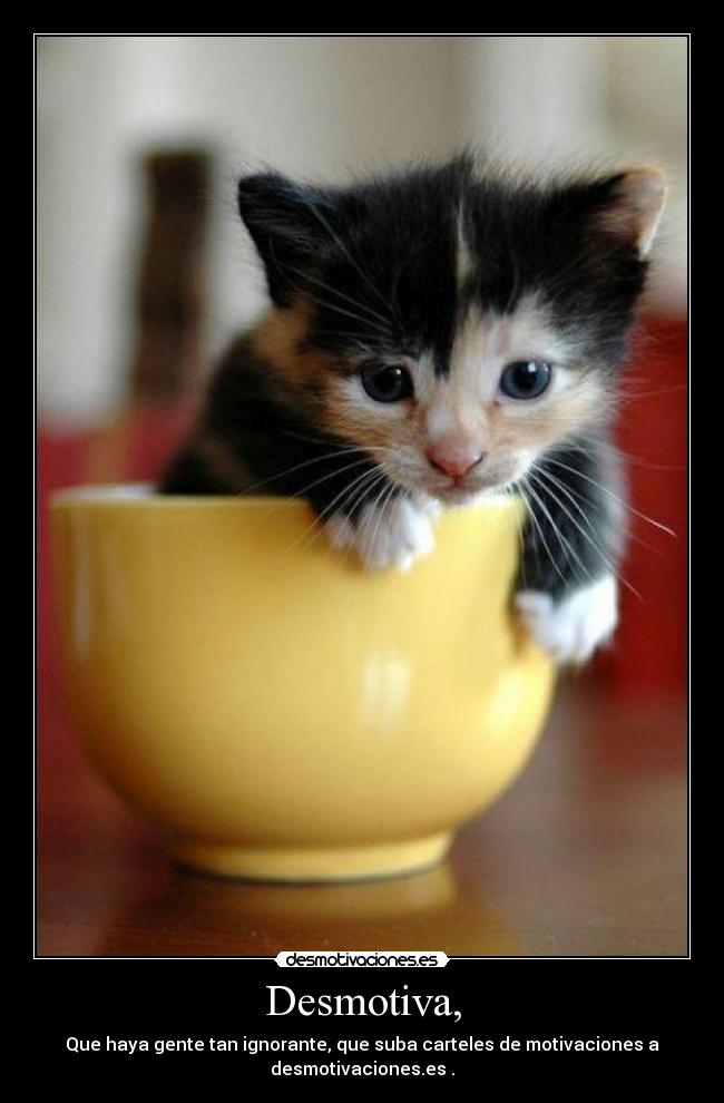 Desmotiva, - 