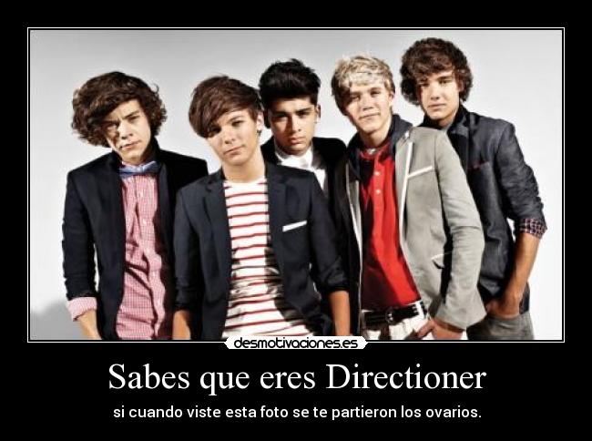 Sabes que eres Directioner -