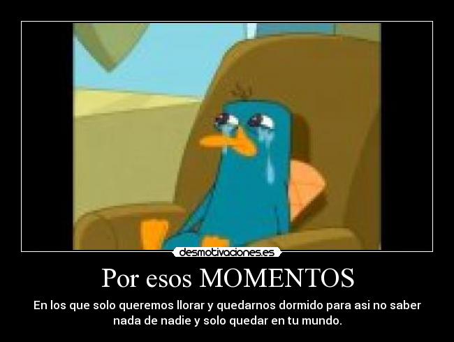 Por esos MOMENTOS -