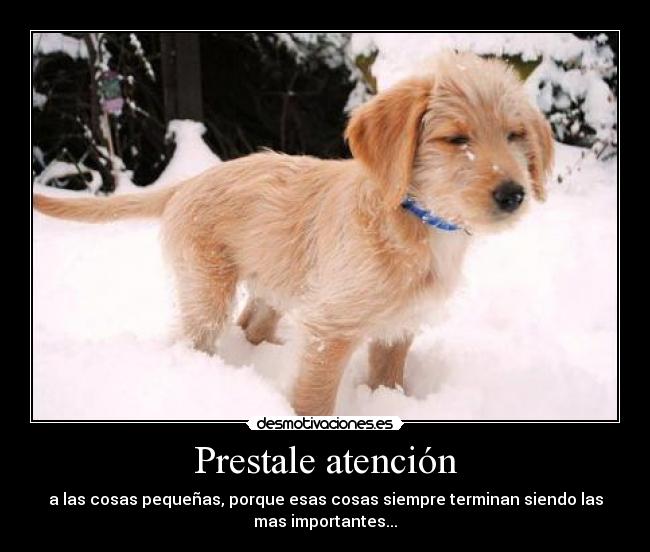 Prestale atención - a las cosas pequeñas, porque esas cosas siempre terminan siendo las
mas importantes...