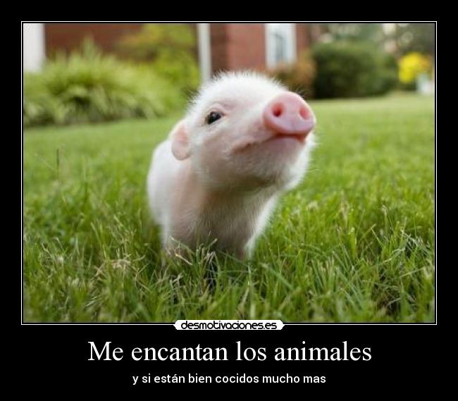 Me encantan los animales - y si están bien cocidos mucho mas