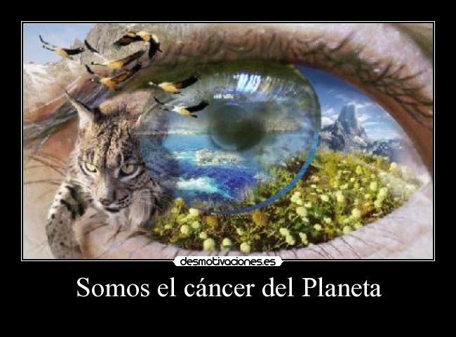 carteles somos cancer del planeta desmotivaciones