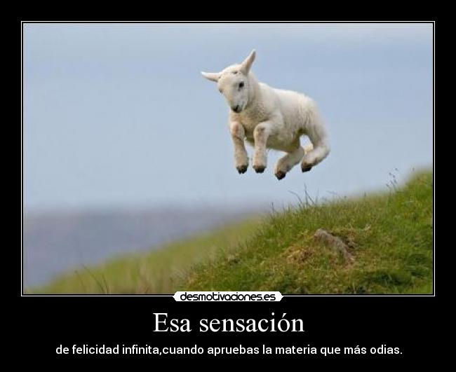 carteles materias escuela felicidad desmotivaciones