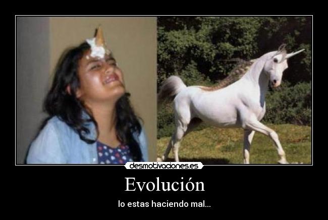 Evolución -