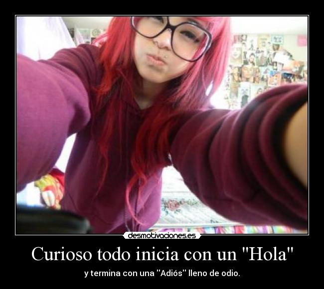 Curioso todo inicia con un Hola - 