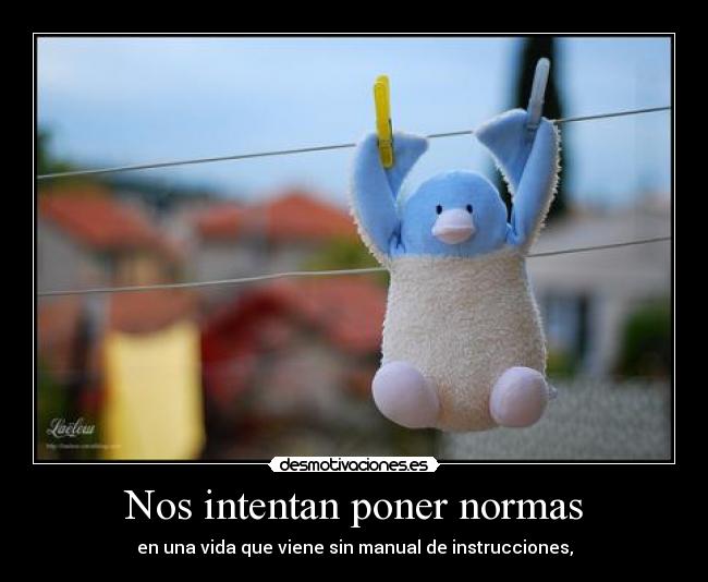 Nos intentan poner normas - 