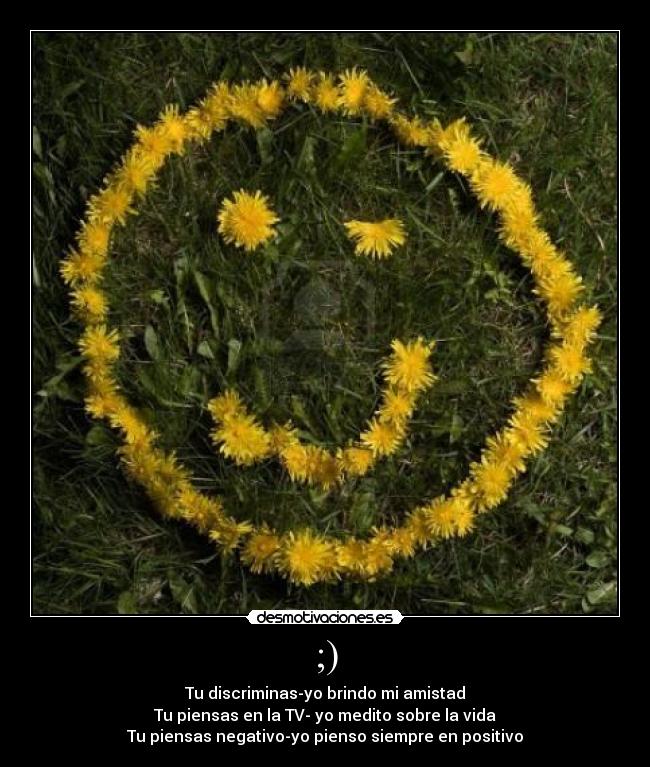 ;) - Tu discriminas-yo brindo mi amistad
Tu piensas en la TV- yo medito sobre la vida
Tu piensas negativo-yo pienso siempre en positivo