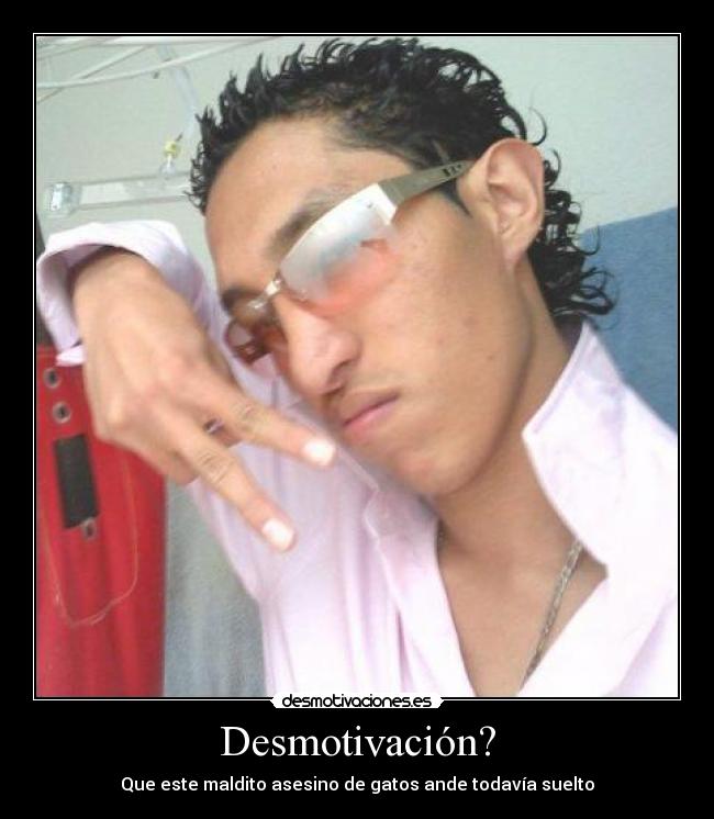 Desmotivación? - Que este maldito asesino de gatos ande todavía suelto