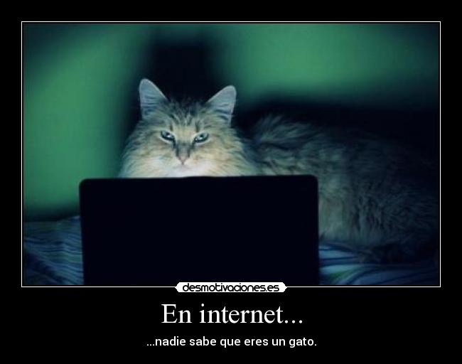 carteles internet mirutsugarane desmotivaciones