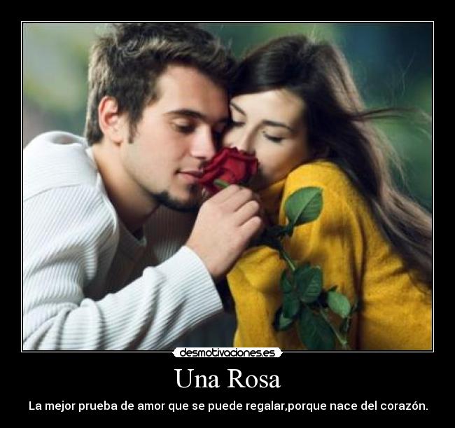 Una Rosa - La mejor prueba de amor que se puede regalar,porque nace del corazón.