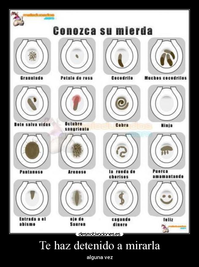 Te haz detenido a mirarla - 