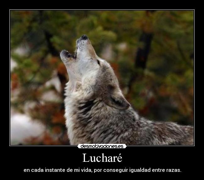 Lucharé - en cada instante de mi vida, por conseguir igualdad entre razas.