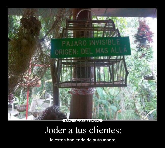 Joder a tus clientes: - lo estas haciendo de puta madre