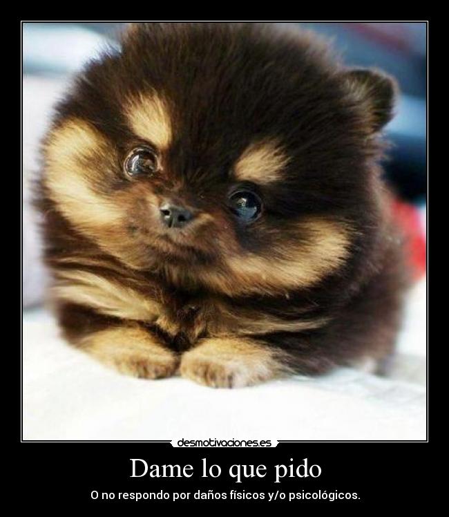 Dame lo que pido - O no respondo por daños físicos y/o psicológicos.