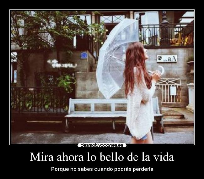 Mira ahora lo bello de la vida - 