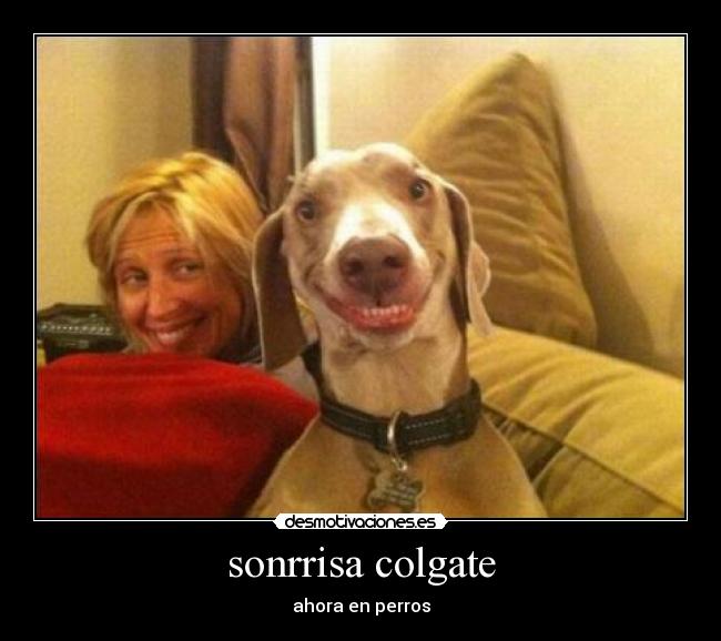 sonrrisa colgate -