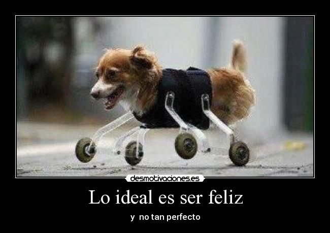 Lo ideal es ser feliz - 