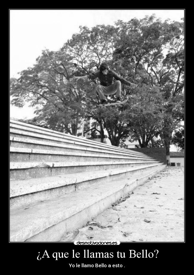 ¿A que le llamas tu Bello? - Yo le llamo Bello a esto .