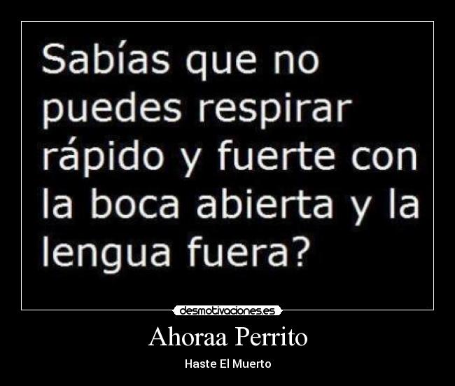 Ahoraa Perrito -