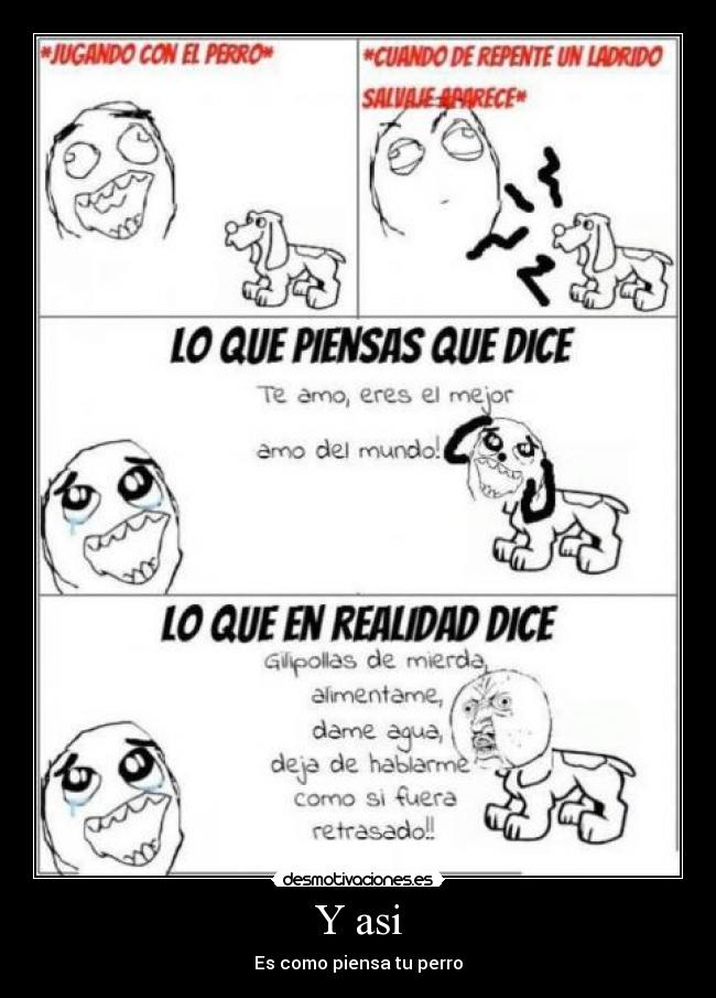 Y asi - Es como piensa tu perro