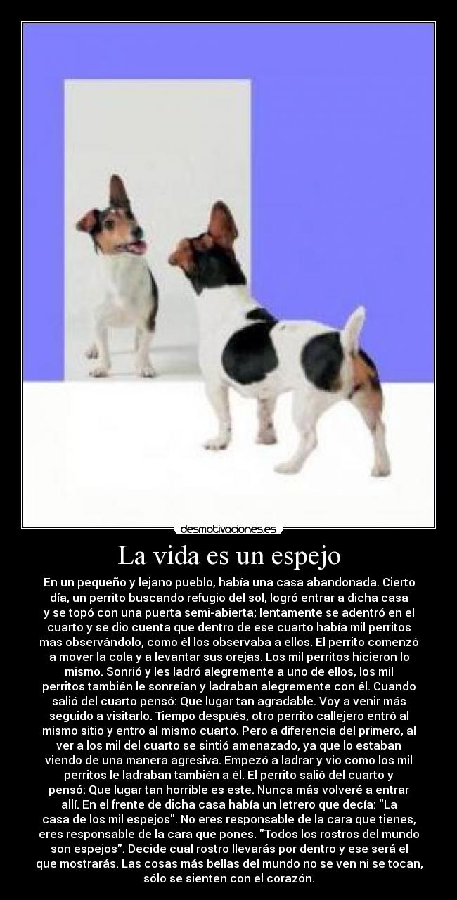 La vida es un espejo -