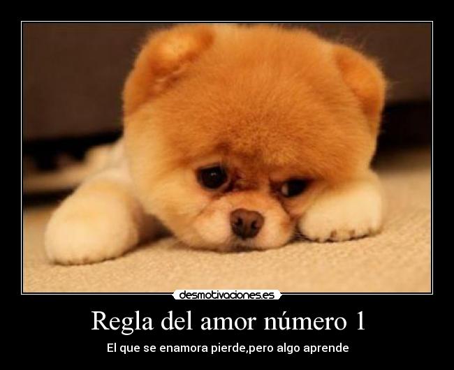Regla del amor número 1 - El que se enamora pierde,pero algo aprende