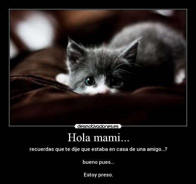 carteles preso mentir mami llamada gatito miedoso desmotivaciones