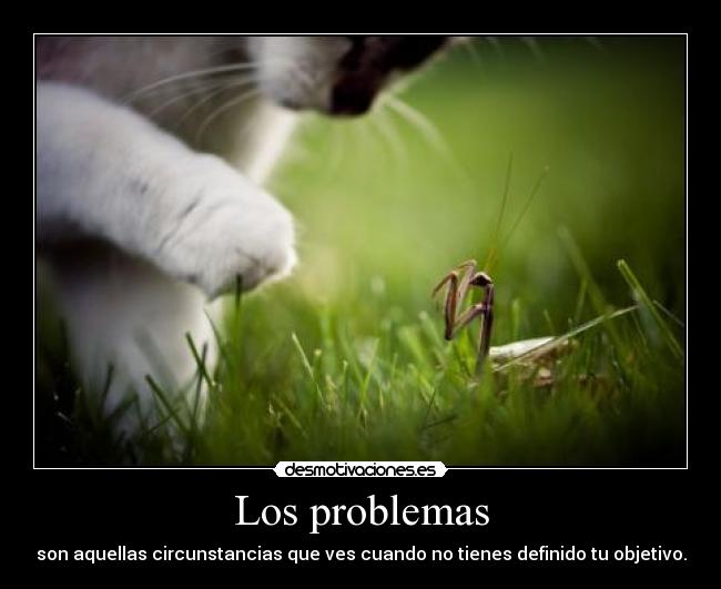 Los problemas - son aquellas circunstancias que ves cuando no tienes definido tu objetivo.