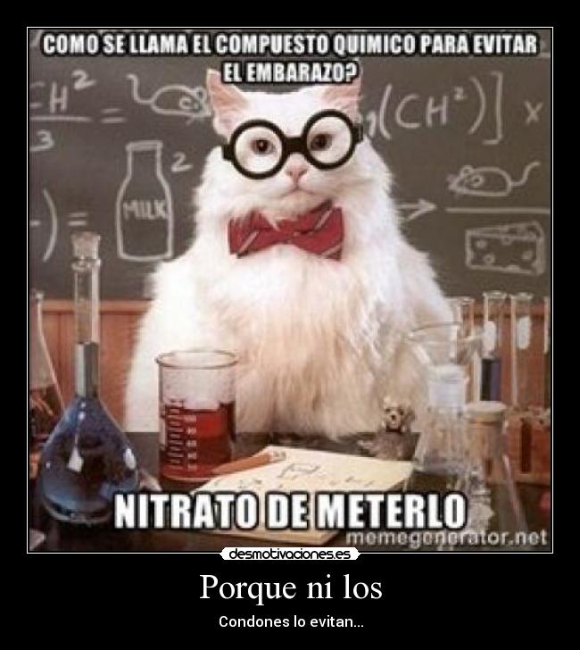 carteles panquesita desmotivaciones