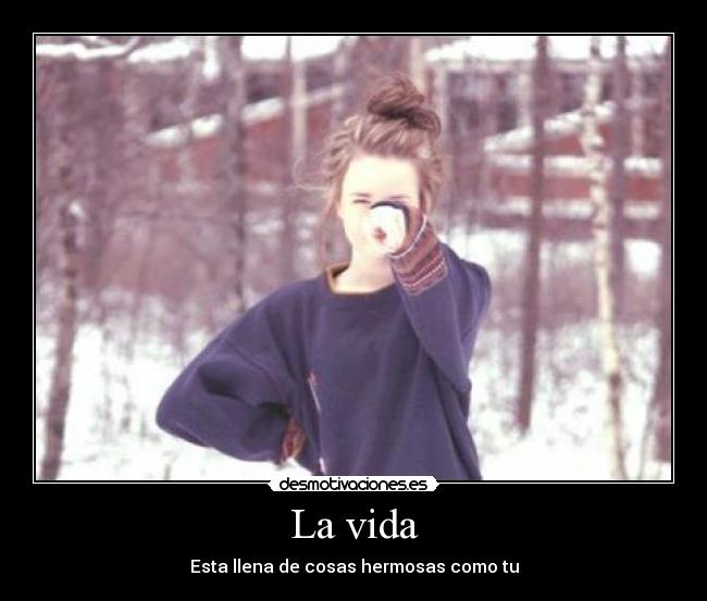 carteles vida lol desmotivaciones