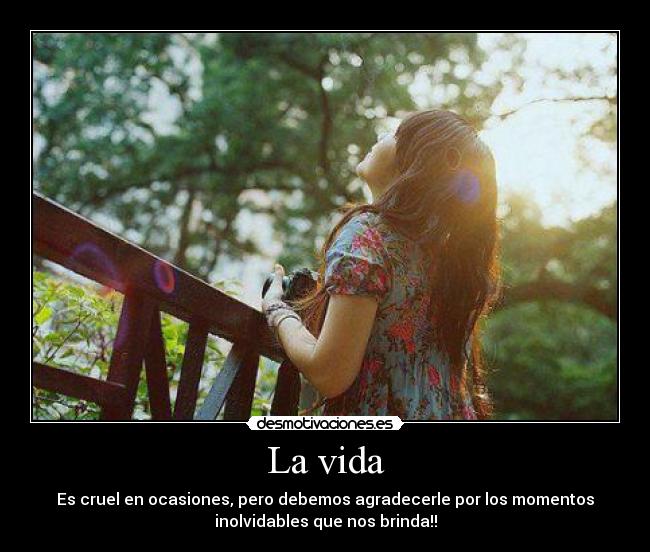 La vida -