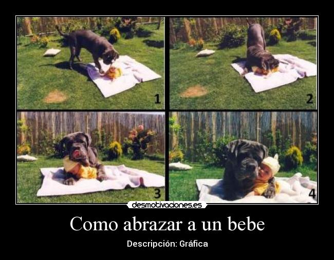 Como abrazar a un bebe - Descripción: Gráfica